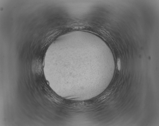 X0000068851444200605261654