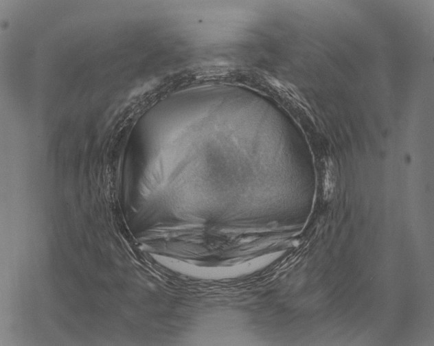 X0000068851445200605261653