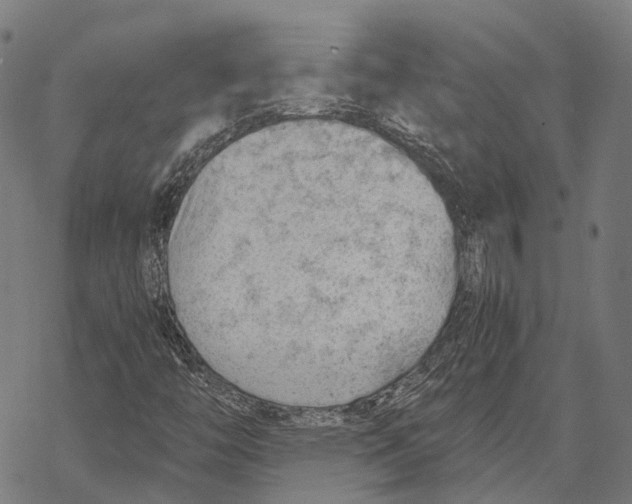 X0000068851446200605261653