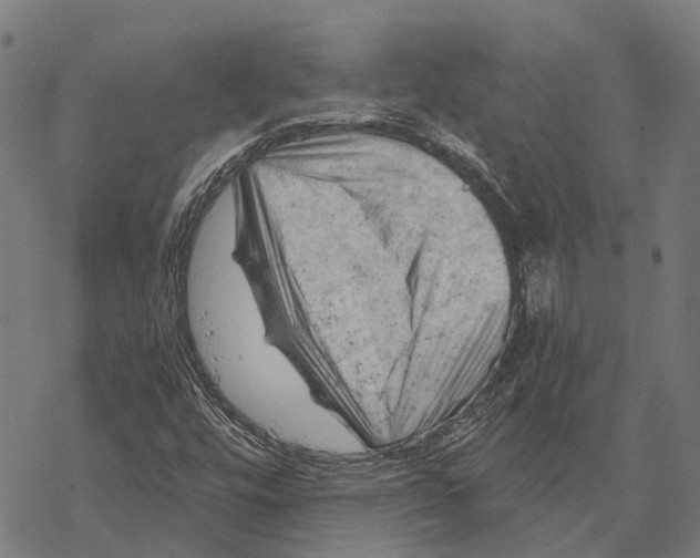 X0000068851448200605261653