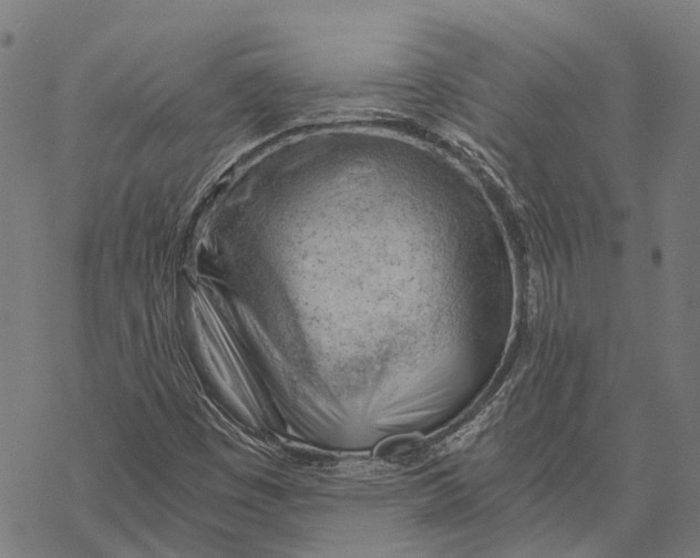 X0000068851449200605261653