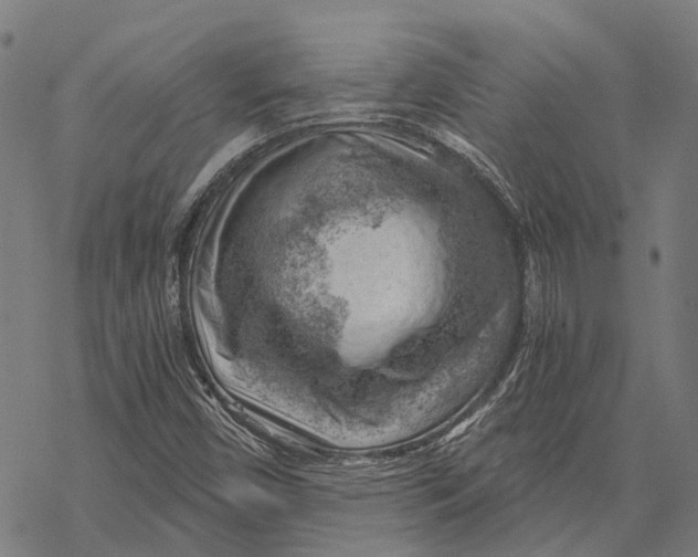 X0000068851450200605261653