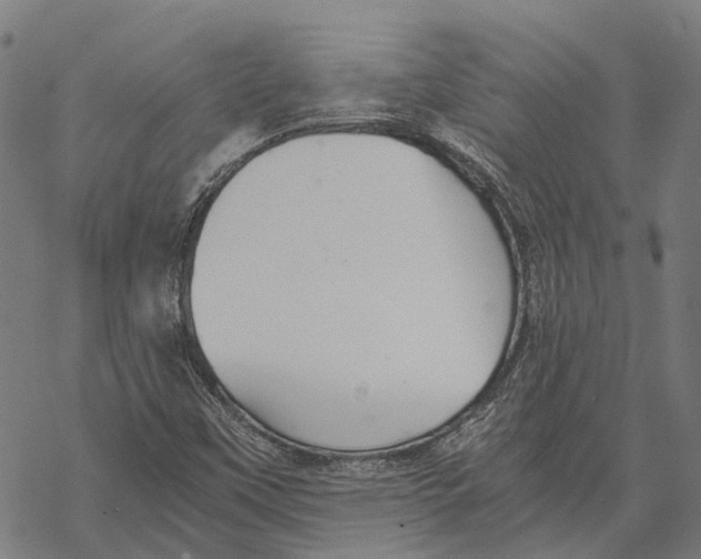 X0000068851451200605261653