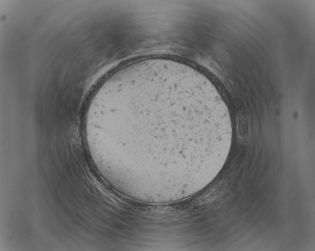 X0000068851452200605261653