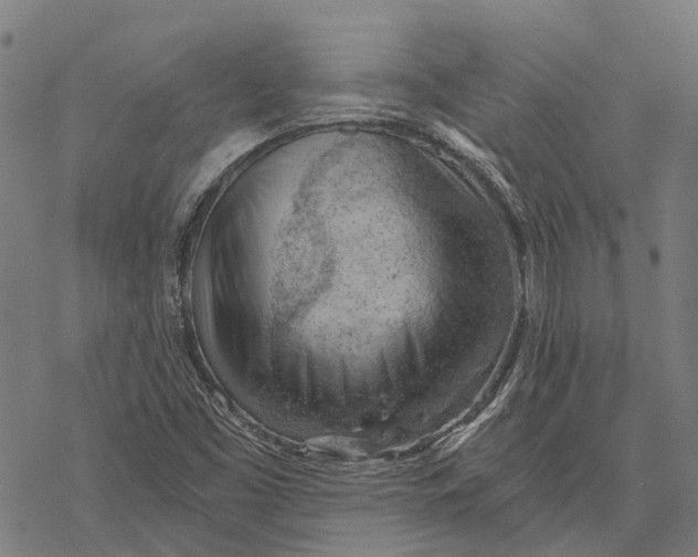 X0000068851453200605261653