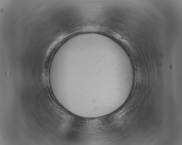 X0000068851454200605261653