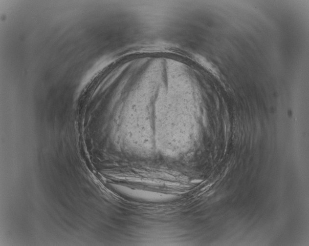 X0000068851456200605261653