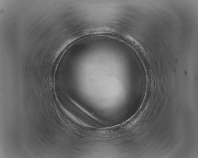 X0000068851457200605261653