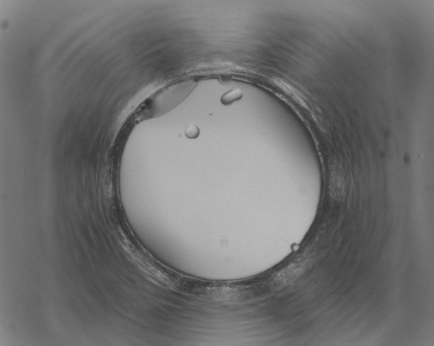 X0000068851458200605261653