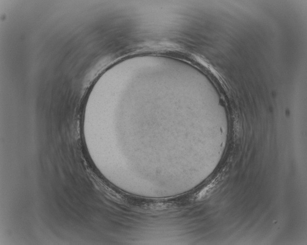 X0000068851459200605261653