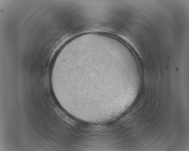 X0000068851460200605261653