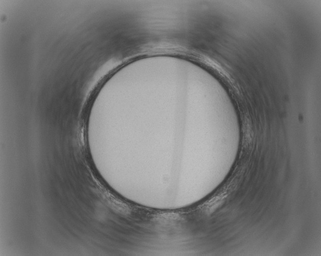 X0000068851462200605261653