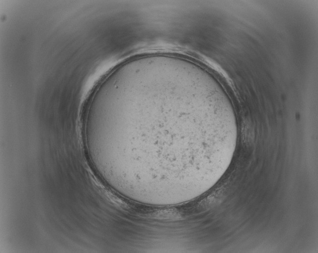 X0000068851464200605261653