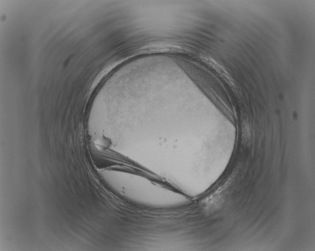 X0000068851465200605261653