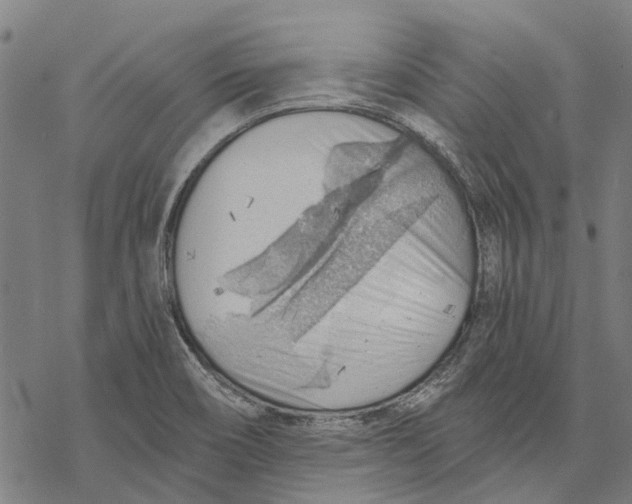 X0000068851466200605261653