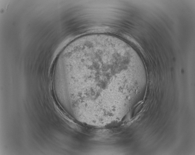 X0000068851467200605261653