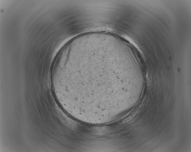 X0000068851468200605261653