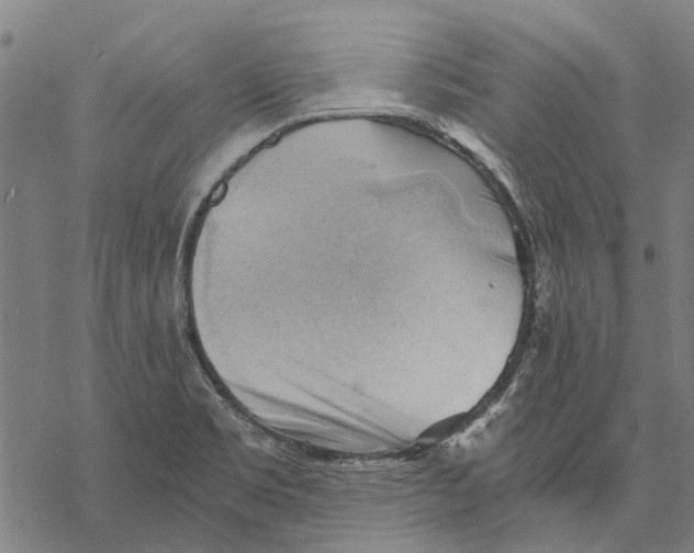 X0000068851469200605261653