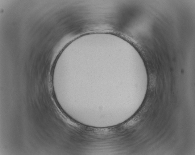 X0000068851470200605261653