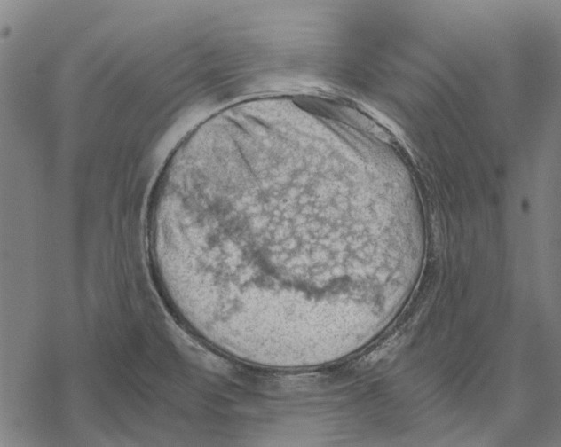 X0000068851471200605261653