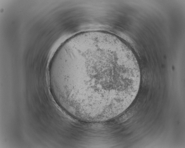 X0000068851472200605261653