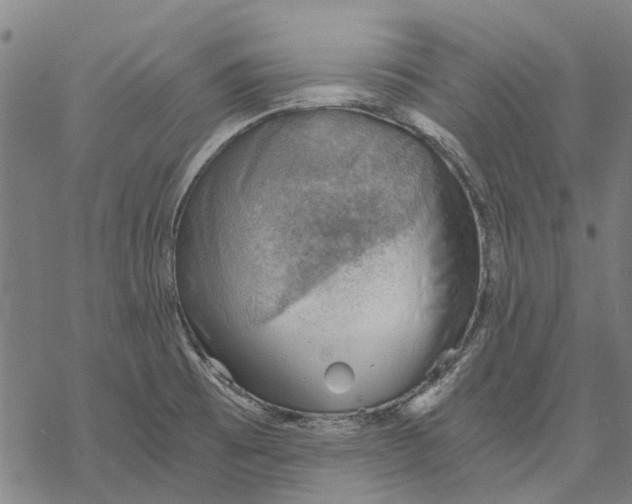 X0000068851473200605261653