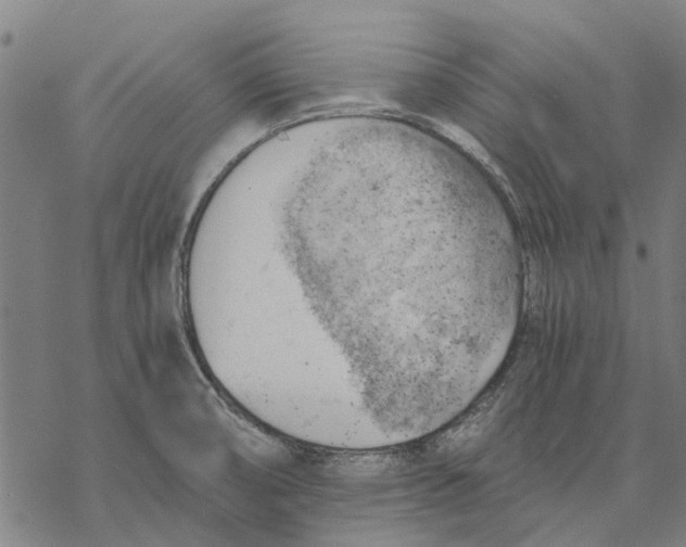 X0000068851474200605261653