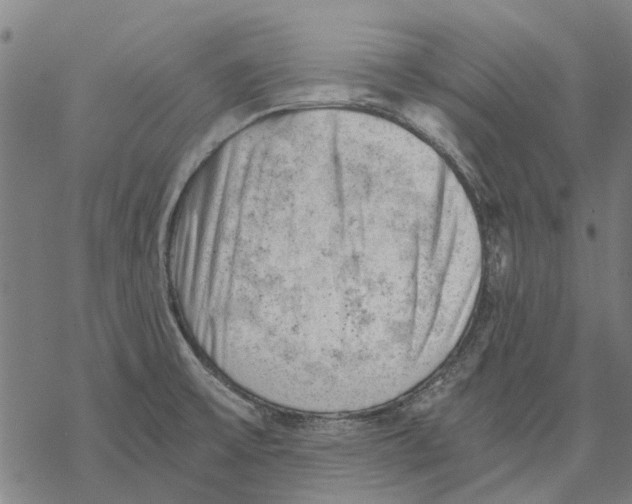 X0000068851475200605261653