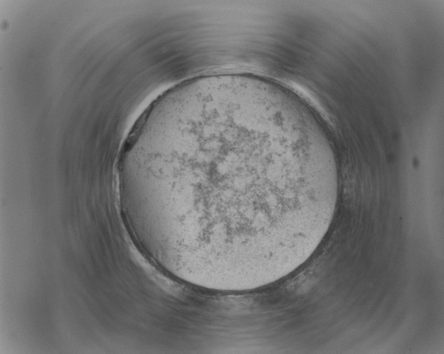 X0000068851476200605261653