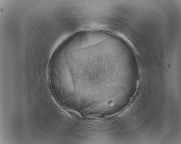 X0000068851477200605261653