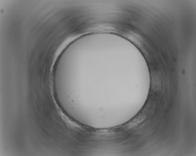 X0000068851478200605261653