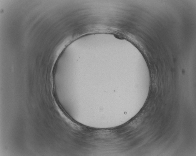 X0000068851479200605261653