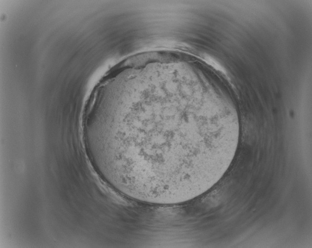 X0000068851480200605261653