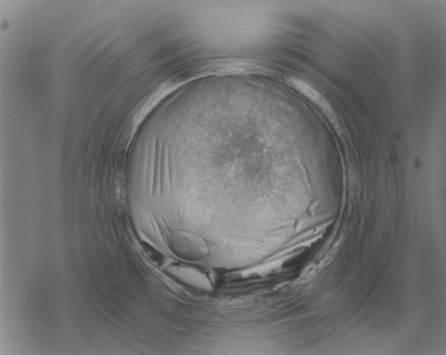 X0000068851481200605261653