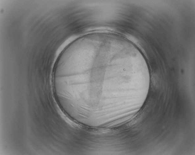 X0000068851482200605261653