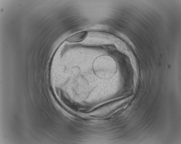 X0000068851483200605261653