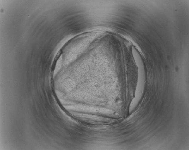 X0000068851484200605261653