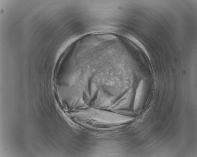 X0000068851485200605261653