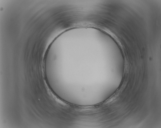 X0000068851486200605261653