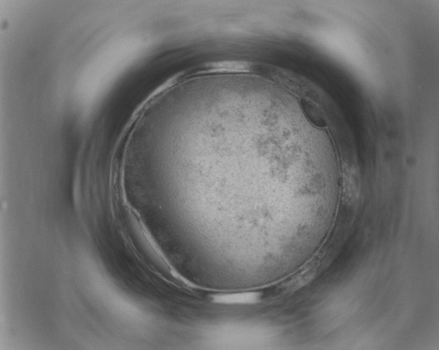 X0000068851487200605261653