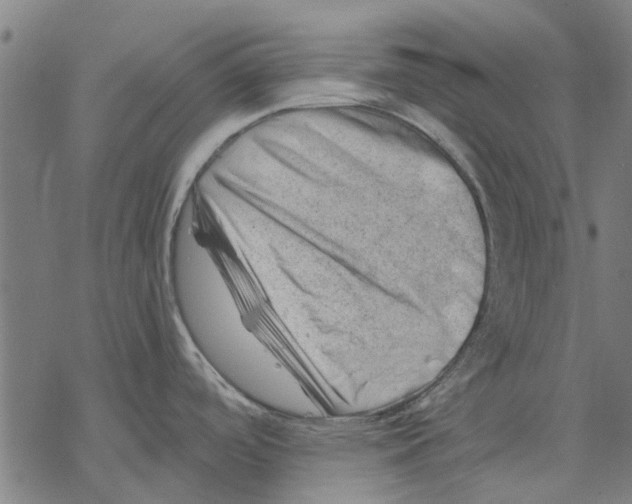 X0000068851488200605261653