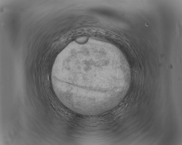 X0000068851489200605261652