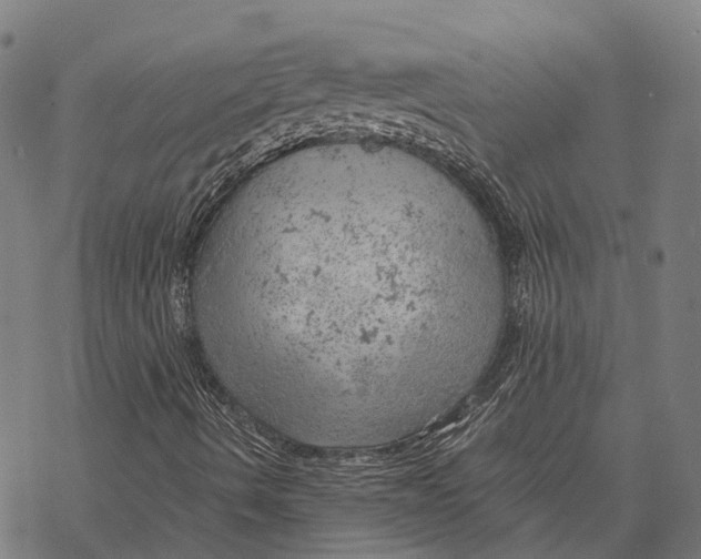 X0000068851490200605261652