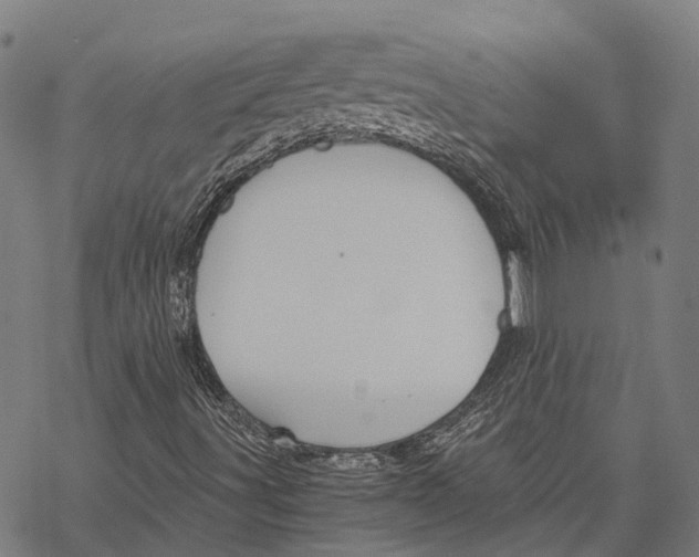 X0000068851491200605261652