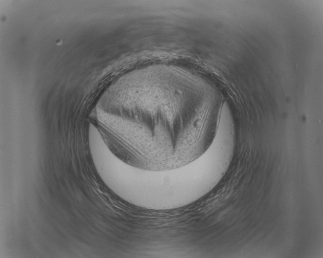 X0000068851492200605261652