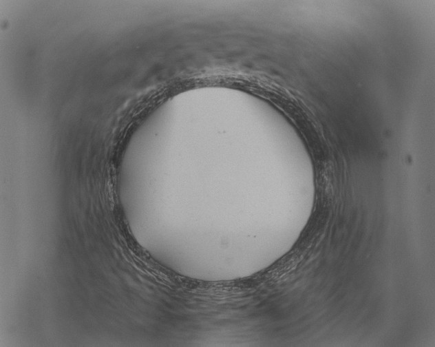 X0000068851493200605261652