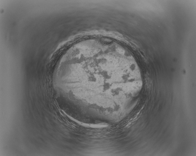 X0000068851494200605261652