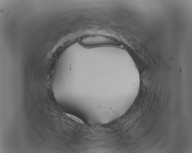 X0000068851495200605261652