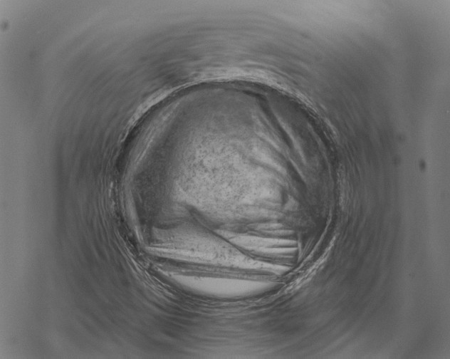 X0000068851497200605261652