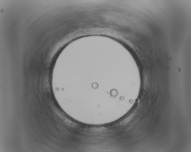 X0000068851498200605261652